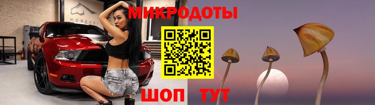 Псилоцибиновые грибы ЛСД  наркота  Зеленодольск  Вход с VPN 